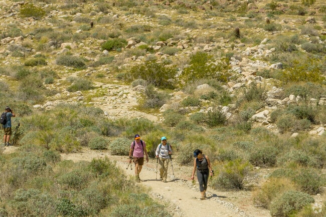 Adventurers trek rocky trails at South Lykken Trailhead, soaking in Palm Springs’ beauty.