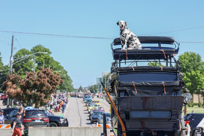 Dog celebrates a moment of rest after successfully completing the Rooster Days Parade.