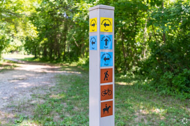 Immerse yourself in nature in New Castle County on one of the trails at Lums Pond State Park.