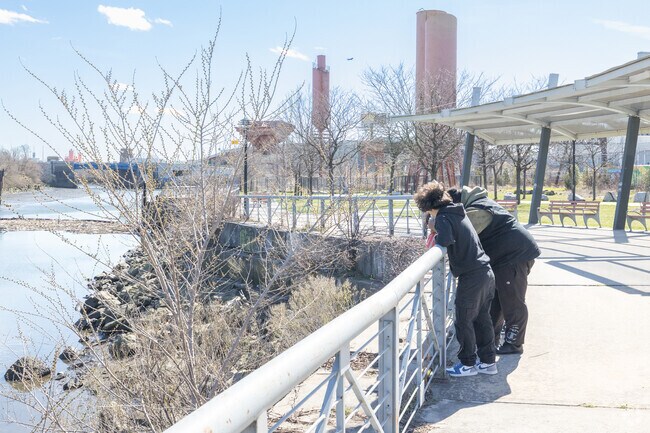 Locals enjoy the scenery at Concrete Park