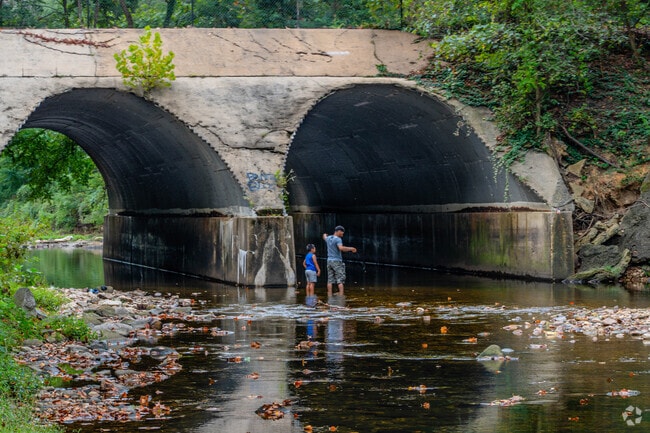 Discover the scenic trails along Holmes Run in Lincolnia Hills' Dora Kelley Nature Park.