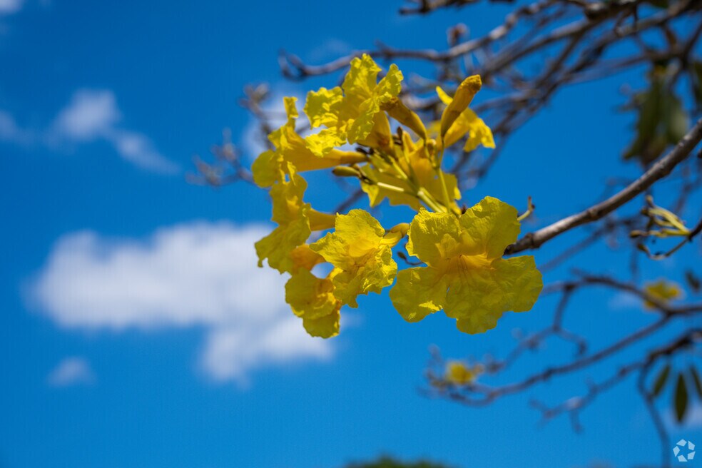 Neighborhood_Southern Estates_V01_012524