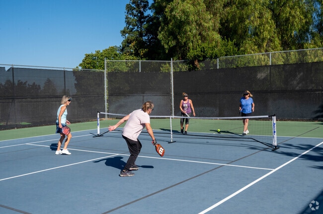 The pickleball courts in the Cowell/Canterbury neighborhood are unmatched.