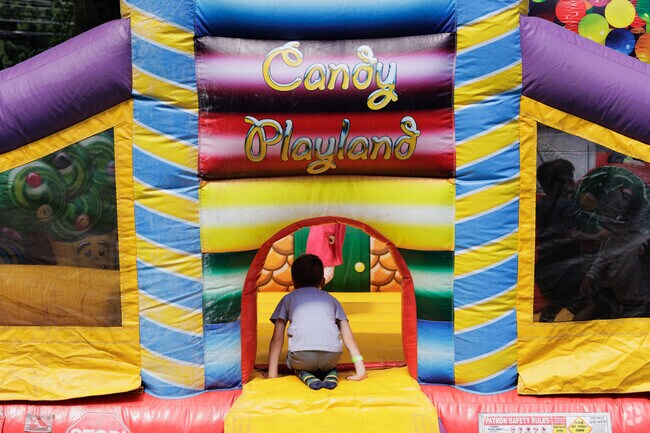 Town Day in Harrington Park offers local vendors, games, and entertainment in a festive outdoor setting.