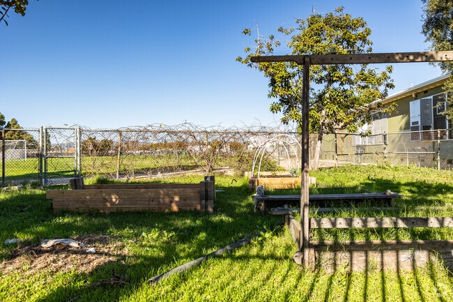 A small community garden is a feature at View Park Continuation School in Baldwin Hills.