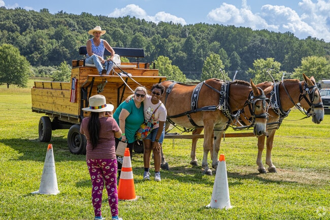 See the beautiful horses at the Ort Farm Summerfest.