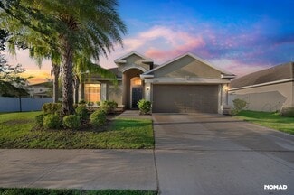12341 Ballentrae Forest Dr, Riverview, FL 33579