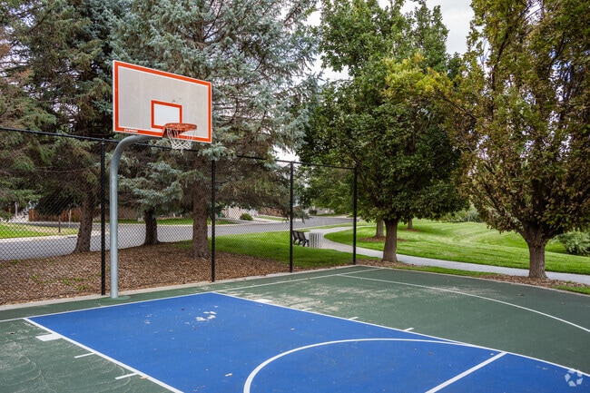 Play basketball with friends at Columbine Meadows Park in Willow Run.