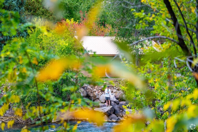 The Animas River is perfect for trout fly fishing.