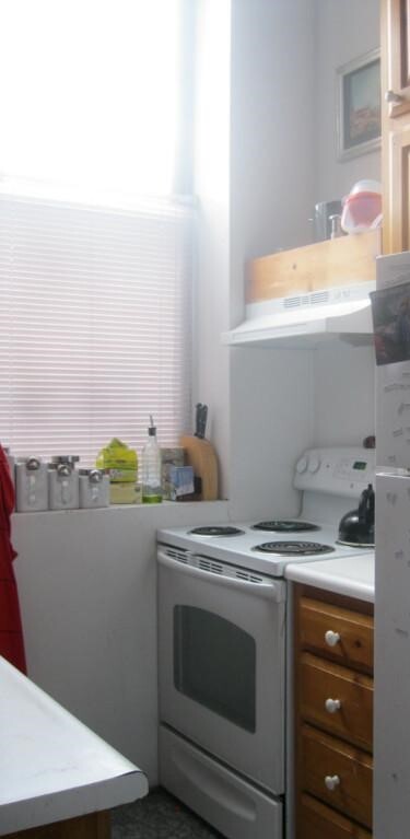 22 Saint Cyprians Place Unit 1L, Boston, MA 02120