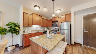 1699 Steiger Lake Ln, Victoria, MN 55386