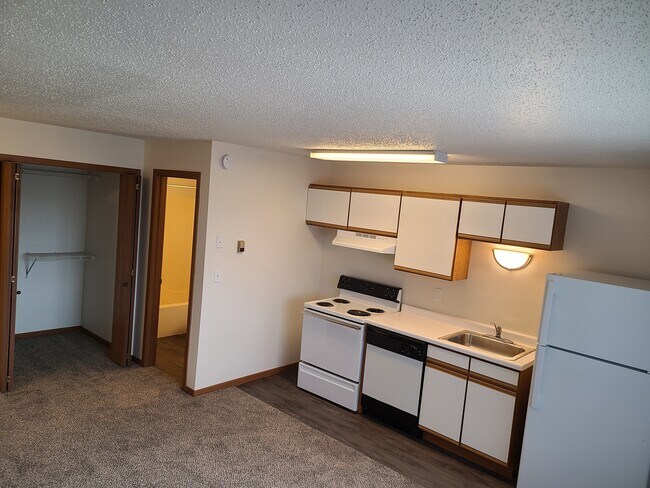 4330 10th Ave S. Fargo ND, Fargo, ND 58103 - photo 4