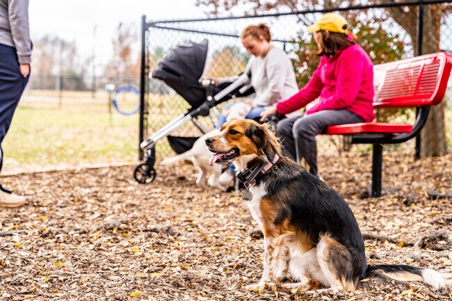 White House Municipal Park includes Rover’s Ridge Dog Park and the White House Greenway.