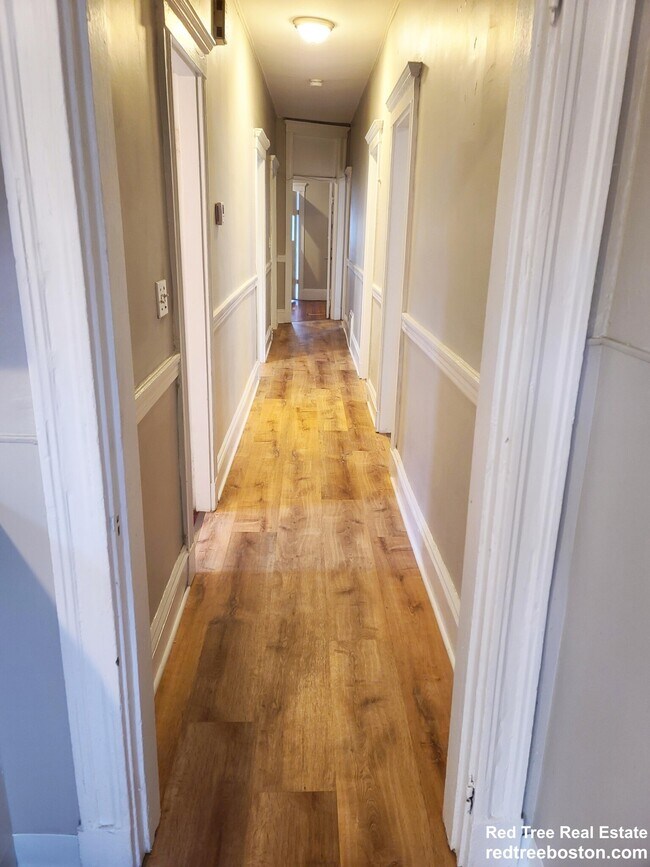 348 Faneuil St unit 3, Brighton, MA 02135 - photo 5