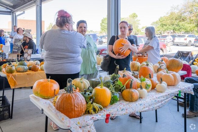 Almor West residents can drive downtown for cute pumpkins at the Lawton Farmers Market.