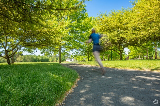 Joggers enjoy shaded trails at Reedville Creek Park.