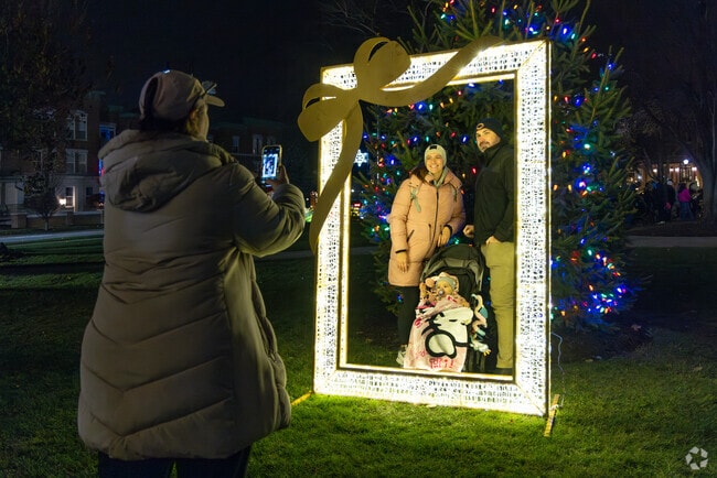 Celebrate with the Holiday Tree Lighting Ceremony at Towne Square in Dowtown Palatine.