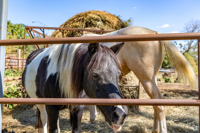 Urban Acres in Fort Redman gives residents a chance to get up close and personal.