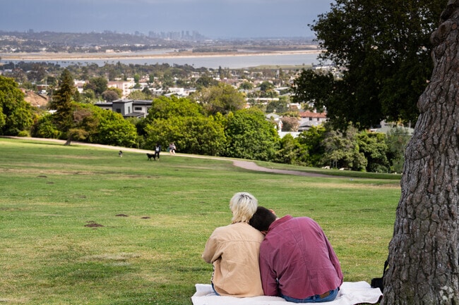 The views on top of Mount Soledad and Kate Sessions park are unbeatable in La Jolla Mesa.