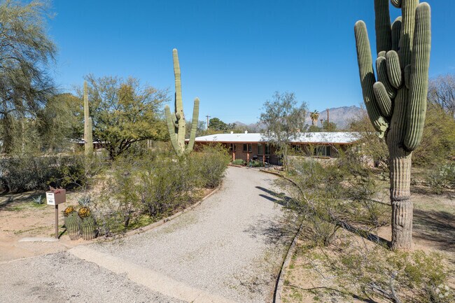 Various areas of EL GHEKO have more privacy than others.