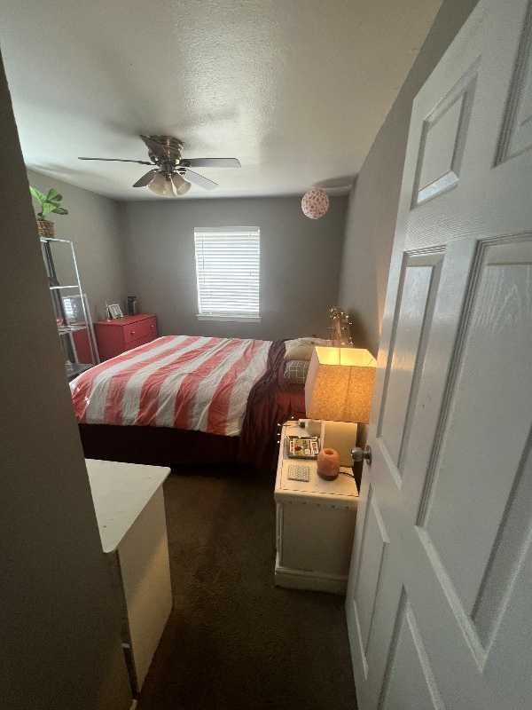 3926 Mehalia Dr, Dallas, TX 75241 - photo 2