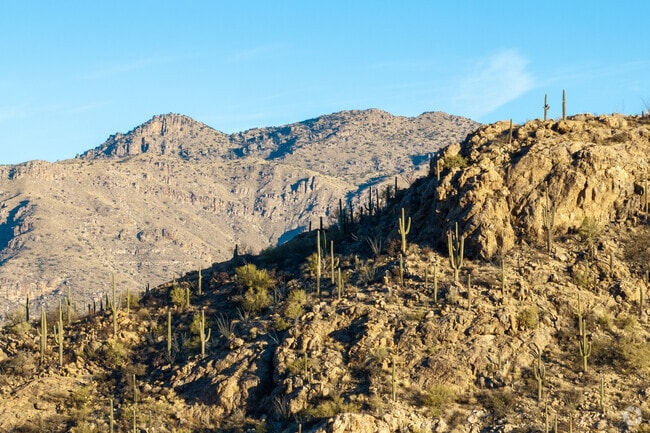 The Agua Caliente Hill South Trailhead provides direct access to the Coronado National Forest.
