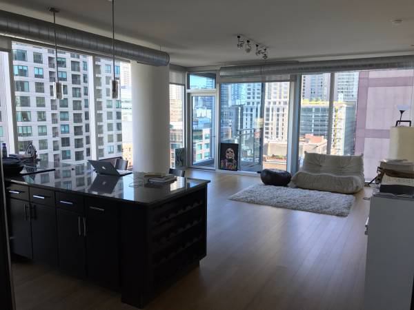 149 W Kinzie St unit 1809, Chicago, IL 60654 - photo 6