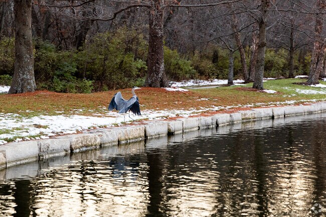 There is plenty of wildlife in South Overland Park.