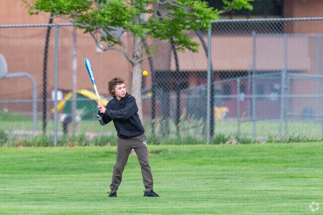 Golden light filters through towering pines as laughter drifts across Northbrook Park—where little feet explore winding trails, families gather by bubbling streams, and every moment feels like a breath of pure Colorado joy just steps from Lewis Pointe.