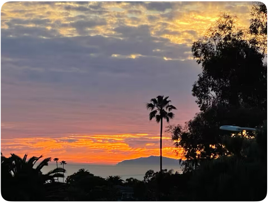 Dana Point Oasis