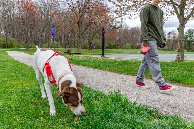 Hawthorn Park is a nice and quiet location to walk your dog.