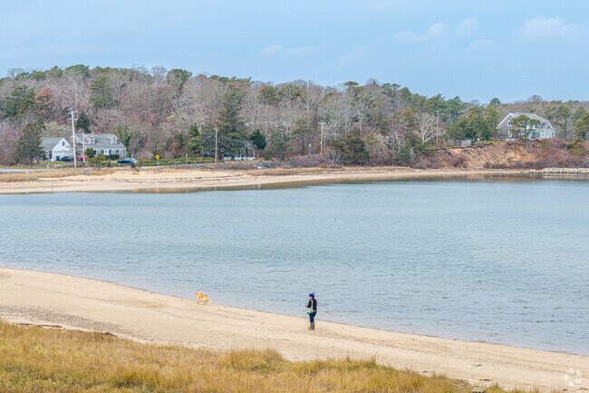 Walks near Forest Beach and Pleasant Street Beach are popular.