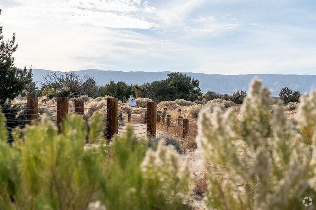 Visitors can stroll along one of many trails at the Prime Desert Woodland Preserve.