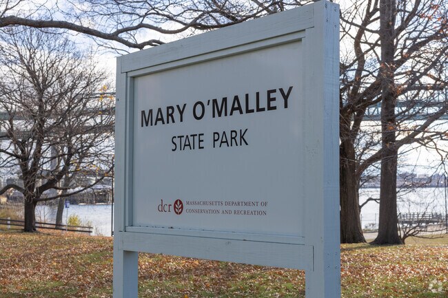 Mary O'Malley Park in Chelea is a popular spot for dog walkers.