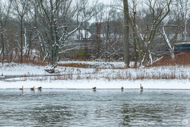 Small ponds are dotted throughout Mount Morris.