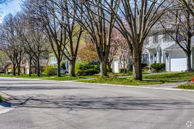 Throughout the small subdivision of Liberty Glen are rows of Colonial Revival homes.