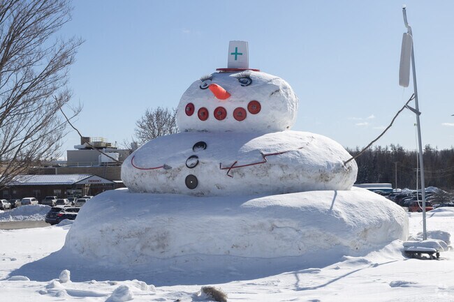 Northern Light A.R. Gould Hospital, located in Presque Isle, stands as a pillar of community health, offering a comprehensive range of medical specialties and compassionate care to patients of all ages.
