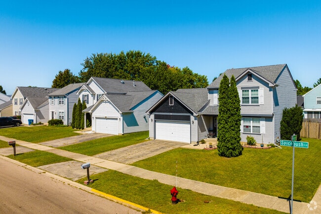 Neat lawns and clear sidewalks are standard in South Farnsworth.