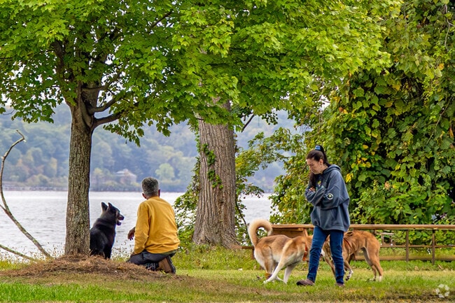 Ulster County Park on the Hudson is a haven for dog owners and their pets.
