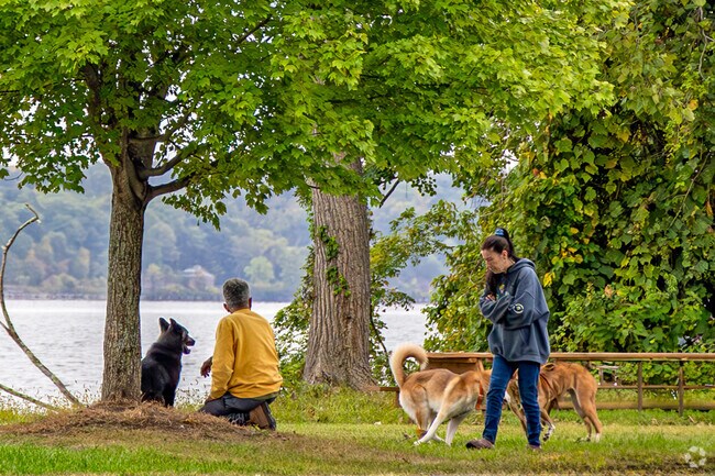 Ulster County Park is a haven for dog owners and their furry friends in Kingston, NY.