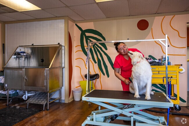 Bring your friend to Spaw Days for a little pampering in Honey Creek Parkway.