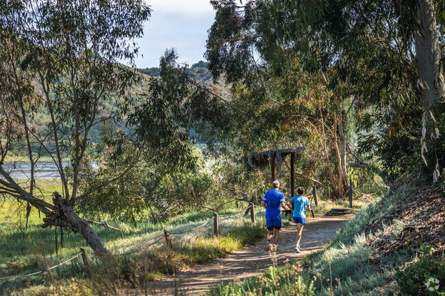 Take a run along the trails at Batiquitos Lagoon State Marine Conservation Area near Aviara.