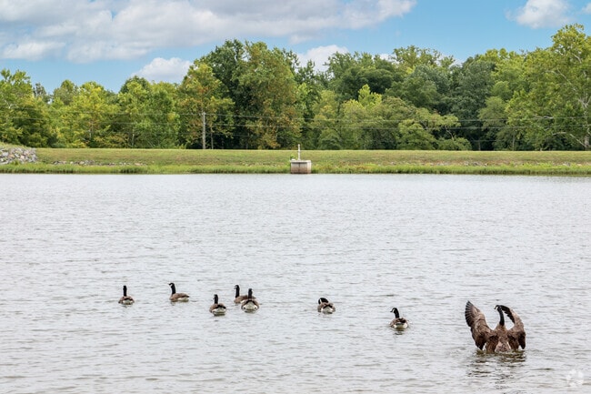 Wildlife enthusiasts enjoy Silver Lake Regional Park near Woolsey.