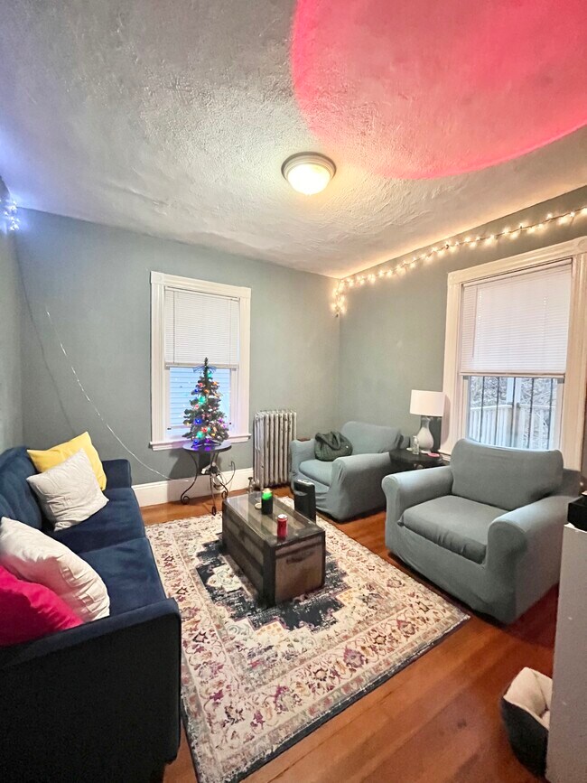 12 Bucknam St unit 1, Roxbury Crossing, MA 02120 - photo 7