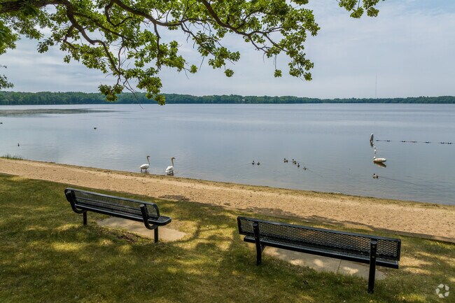 Geese and ducks are plenty at North Oaks Beach in North Oaks.