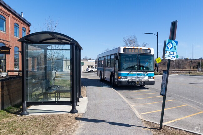 There is a robust public transportation system in Libbytown.