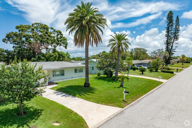 Palm treets are very popular in Collins Estates and many yards have them displayed prominently in the front.