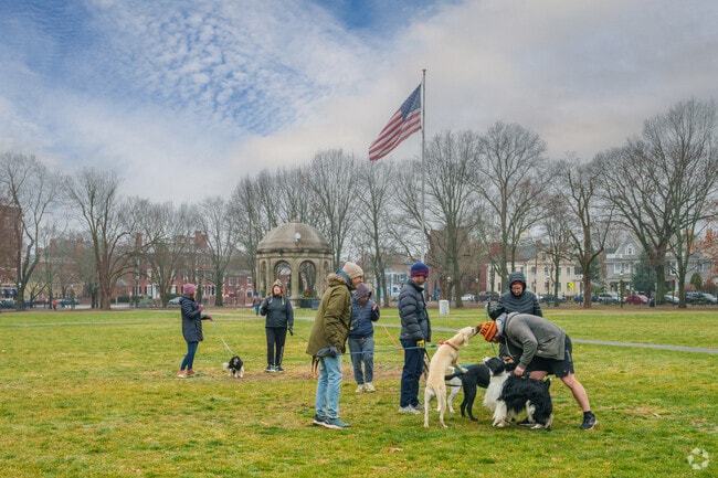 Salem Common is a short dog walk away from Derby Street and is popular for socializing.