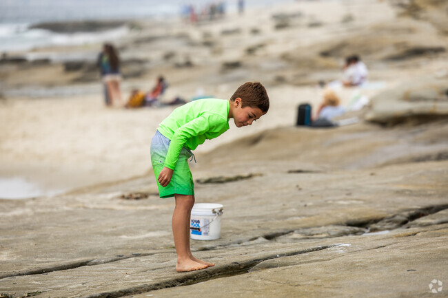 The tide pools are always a great place for kids to learn about marine biology near Muirlands.