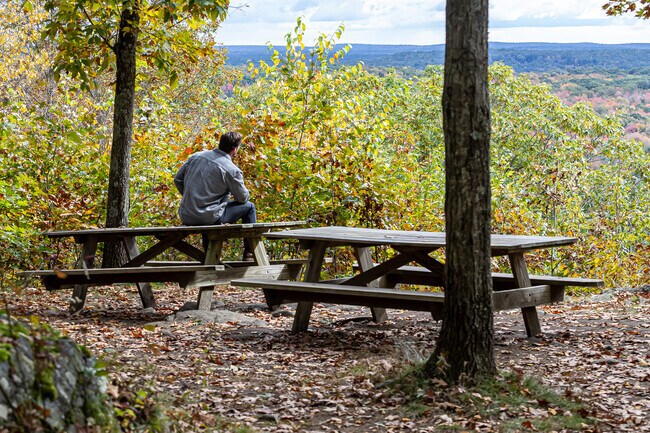People love to sit and enjoy the view from atop Shenipsit State Forest in Somers.